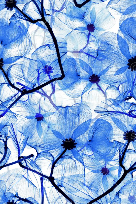 手绘花卉印花华亿平台图片