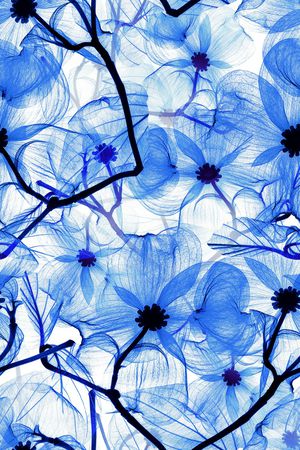 手绘花卉印花华亿平台图片