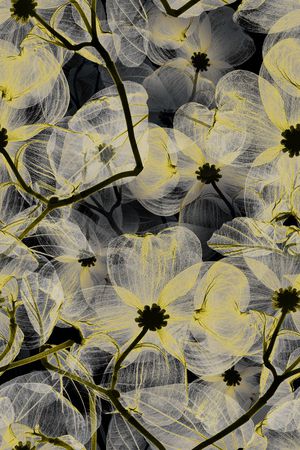 手绘花卉印花华亿平台图片