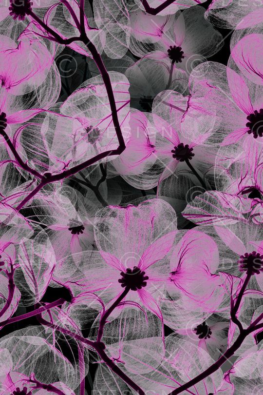 手绘花卉印花华亿平台图片