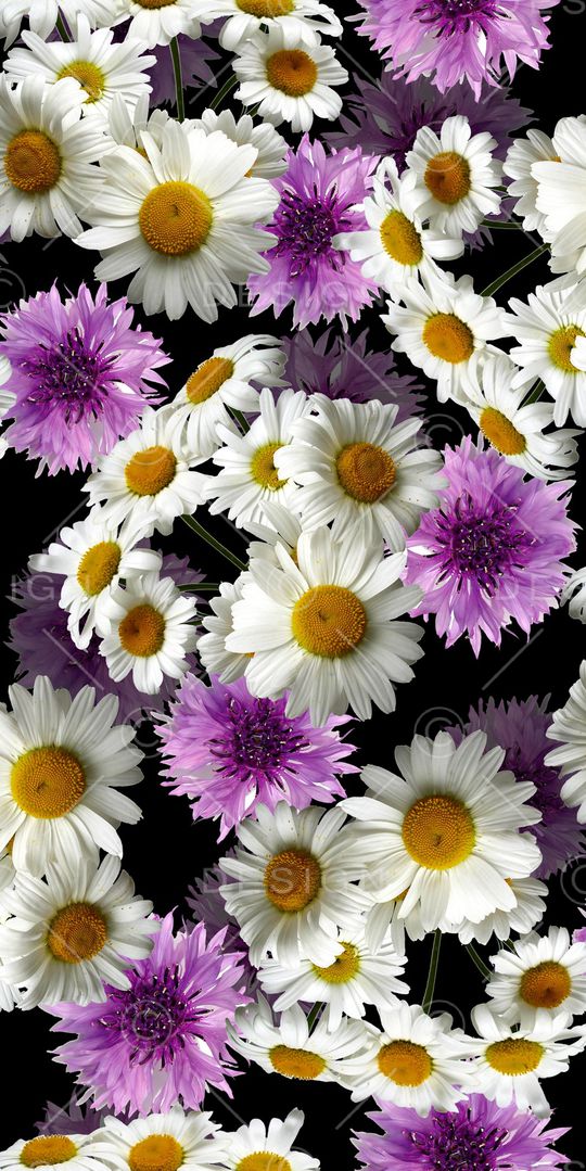 乱花印花华亿平台图片