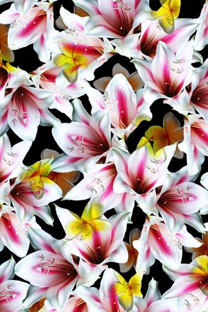 乱花印花华亿平台图片