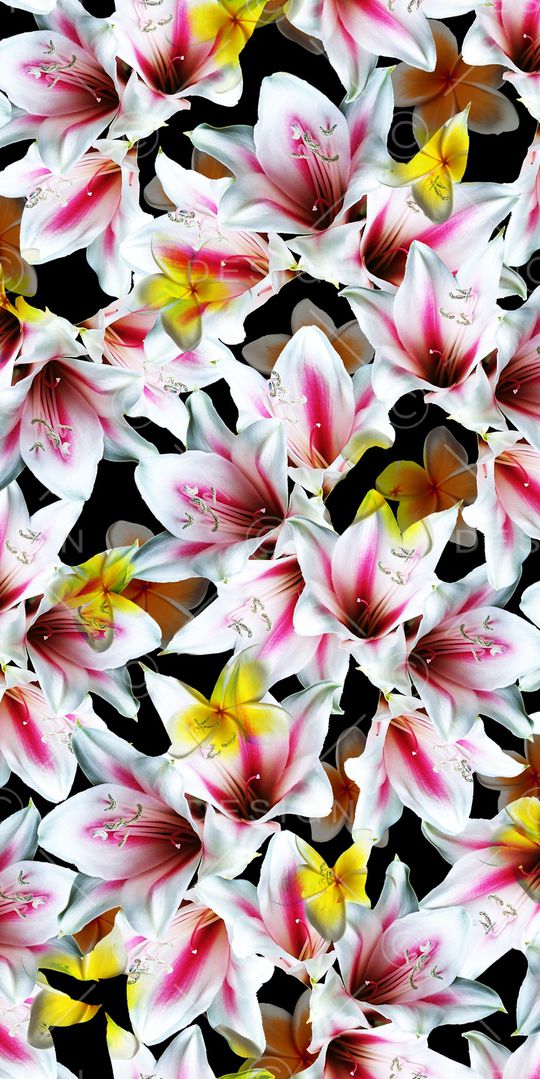 乱花印花华亿平台图片