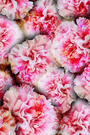 乱花印花华亿平台图片