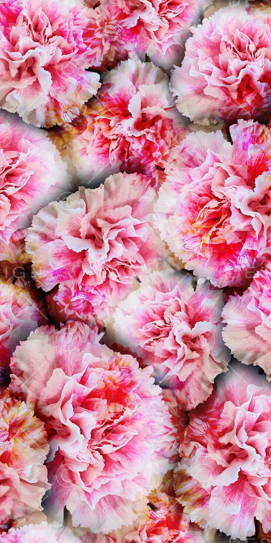 乱花印花华亿平台图片