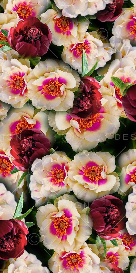 乱花印花华亿平台图片