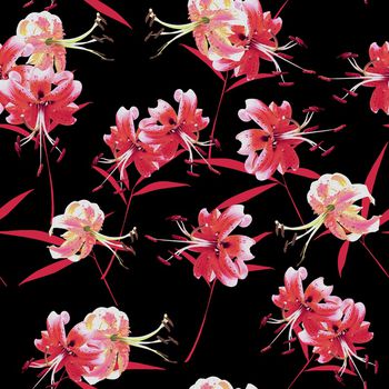 835013-DG65-1896_P (W-50