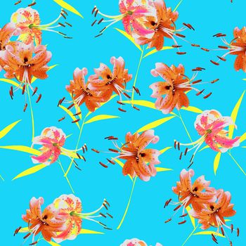 835027-DG65-1896_P1 (W-5