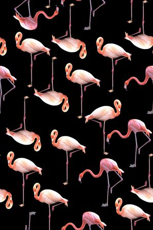 仙鹤印花华亿平台图片