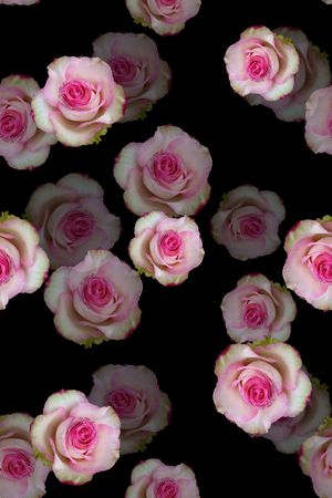 乱花印花华亿平台图片