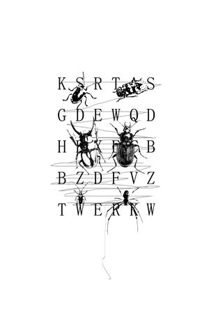 昆虫印花华亿平台图片