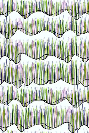 条子印花华亿平台图片