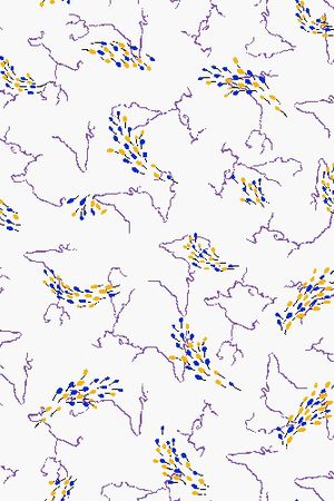 盛夏的果实印花华亿平台图片