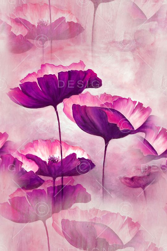 春夏女装印花华亿平台图片