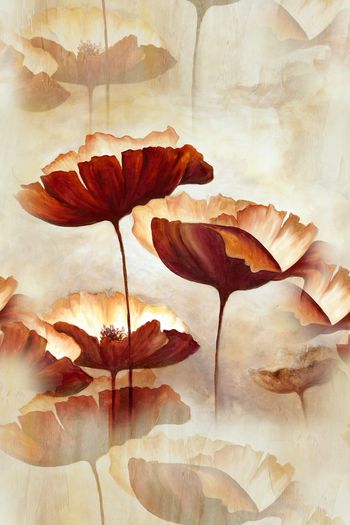 春夏女装印花华亿平台图片