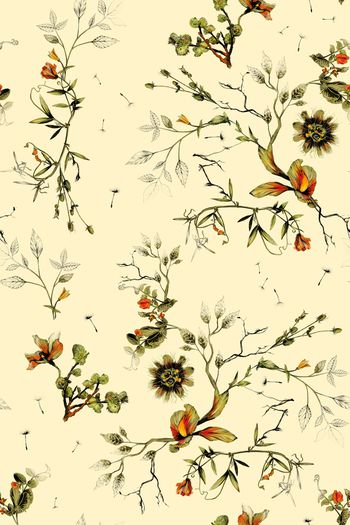 836690-枯枝野草B