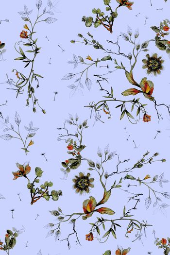 836691-枯枝野草C