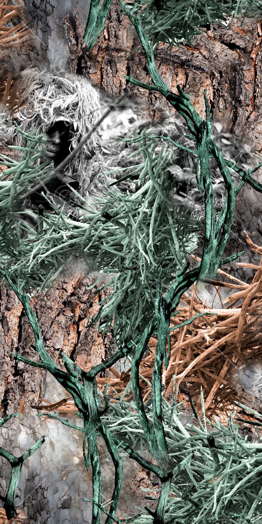 树枝印花华亿平台图片