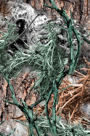 树枝印花华亿平台图片