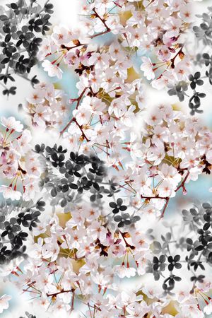 时尚印花华亿平台图片