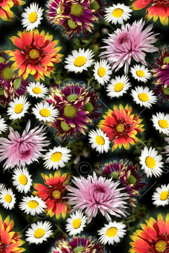 时尚印花华亿平台图片