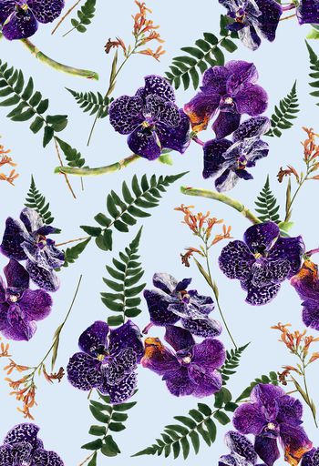 836794-花卉，植物，兰花