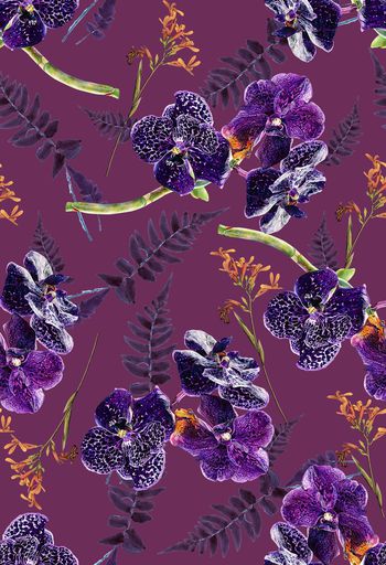 836795-花卉，植物，兰花-A