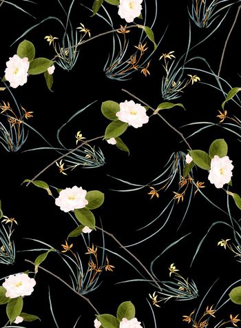 836813-手绘水彩茶花君子兰花-B