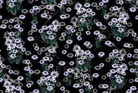 杜嘉班纳印花华亿平台图片