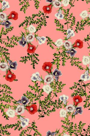 春夏印花华亿平台图片