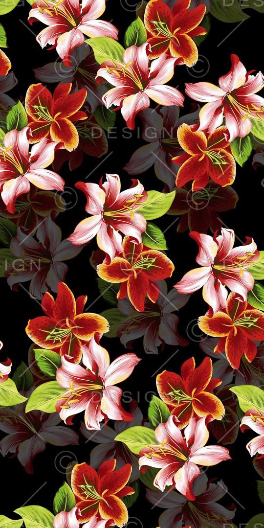 玉兰花印花华亿平台图片