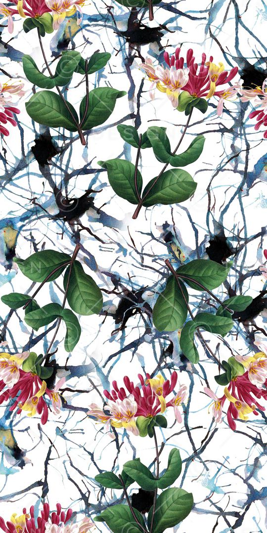 郁金香印花华亿平台图片