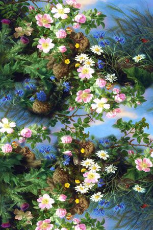 披肩长巾印花华亿平台图片