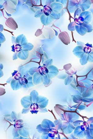 小碎花印花华亿平台图片