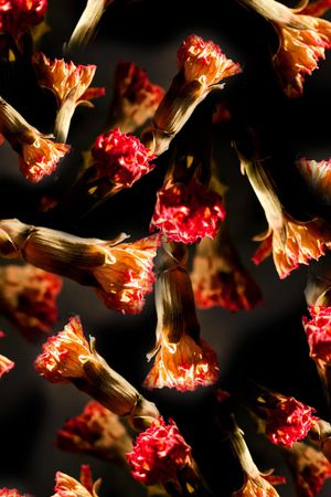 小碎花印花华亿平台图片