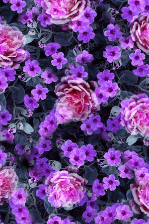 小碎花印花华亿平台图片