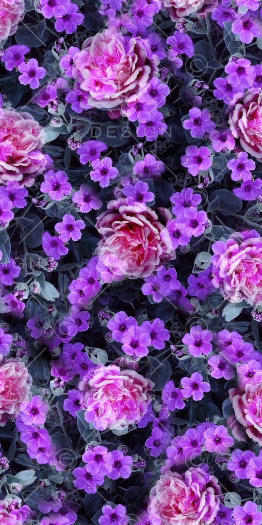 小碎花印花华亿平台图片