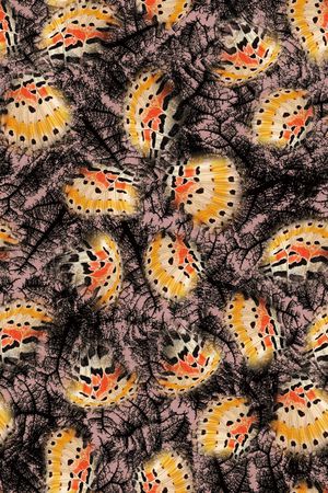 叶脉印花华亿平台图片