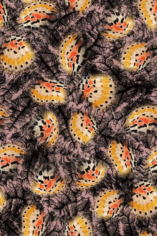 叶脉印花华亿平台图片