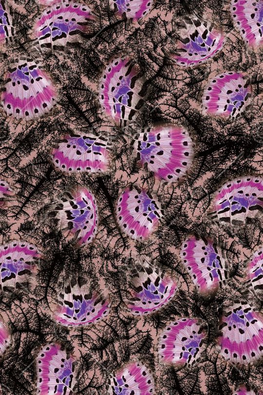 叶脉印花华亿平台图片