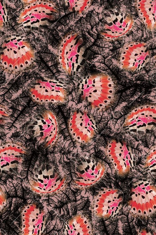 叶脉印花华亿平台图片