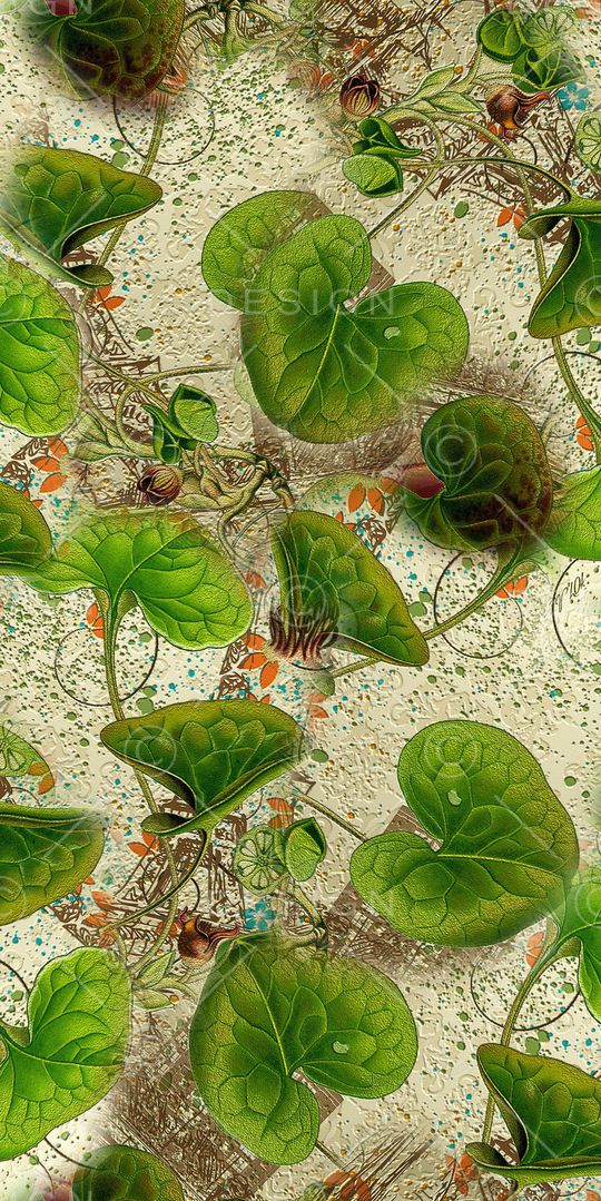 荷叶印花华亿平台图片