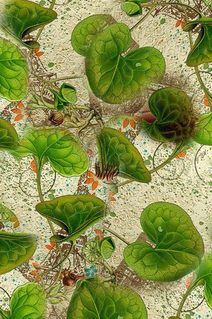 荷叶印花华亿平台图片