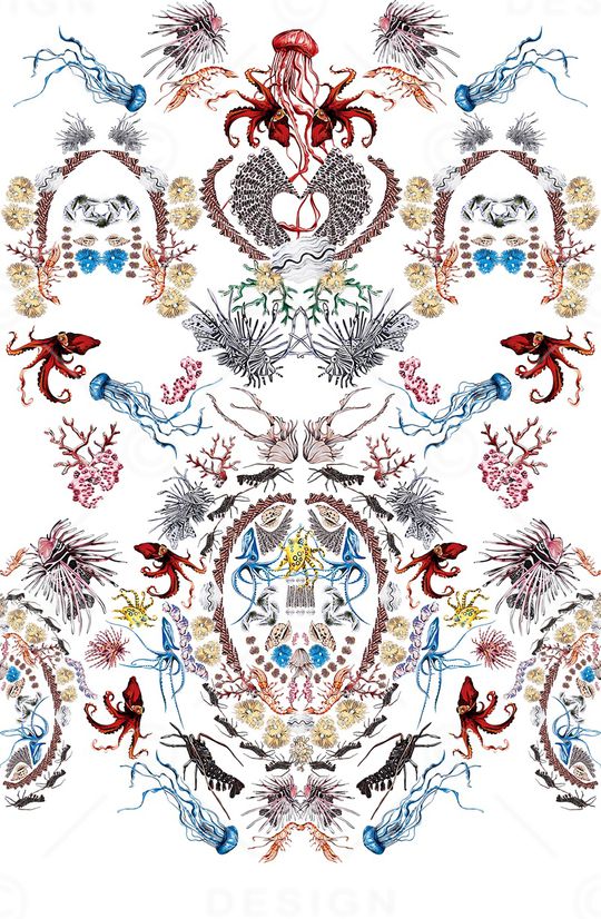 海洋生物印花华亿平台图片