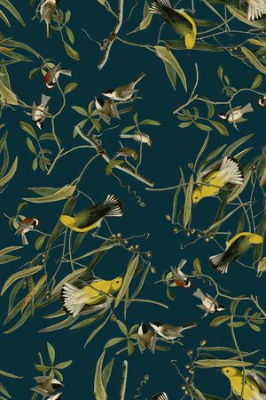 18复古手绘插画黄鹂鸟印花华亿平台图片