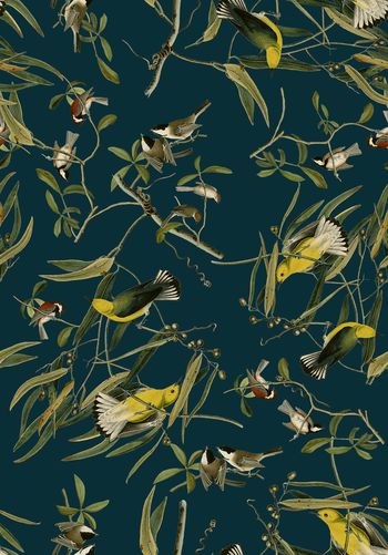 18复古手绘插画黄鹂鸟印花华亿平台图片