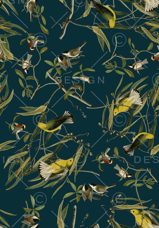 18复古手绘插画黄鹂鸟印花华亿平台图片