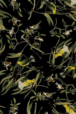 18复古手绘插画黄鹂鸟印花华亿平台图片