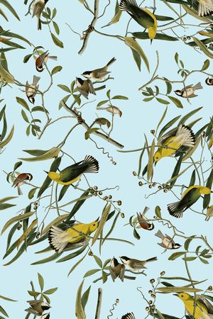 18复古手绘插画黄鹂鸟印花华亿平台图片