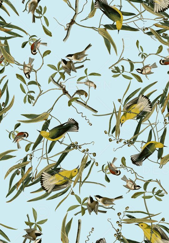 18复古手绘插画黄鹂鸟印花华亿平台图片